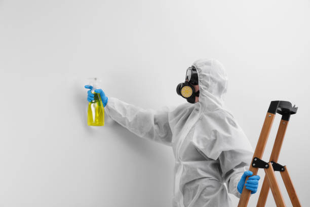 Best Industrial Mold Remediation  in USA